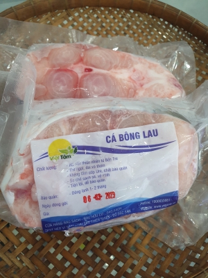 Cá Bông Lau - Thiên Nhiên